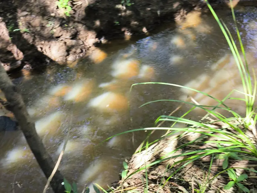 Chácara à venda, 205700m2 em Alambari - SP - imagem 16 Foto 16 de Chácara à venda, 205700m2 em Alambari - SP