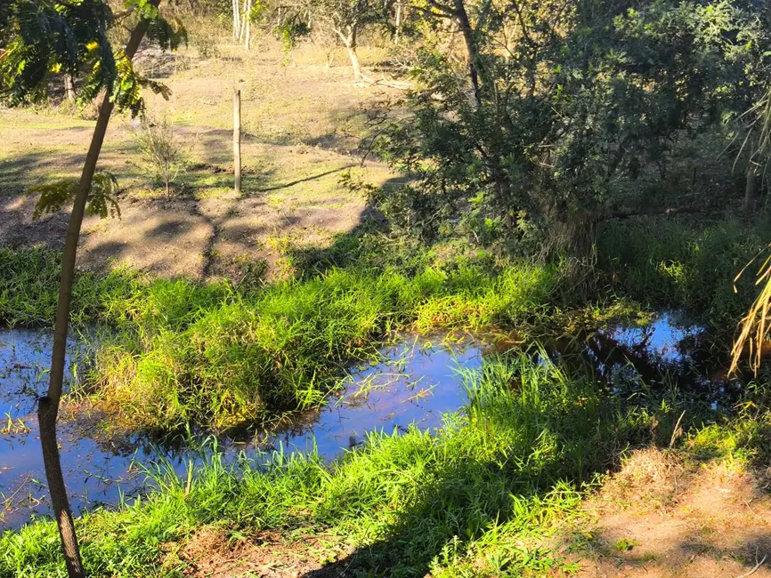 Chácara com 3 quartos à venda, 5000m2 em Alambari - SP - imagem 6 Foto 6 de Chácara com 3 quartos à venda, 5000m2 em Alambari - SP