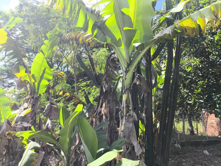 Foto 8 de Chácara com 3 quartos à venda, 125m2 em Capela Do Alto - SP