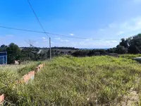 Imagem 12