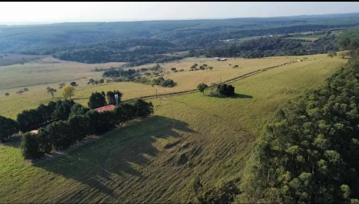 Foto 7 de Chácara com 4 quartos à venda, 907500m2 em Piedade - SP