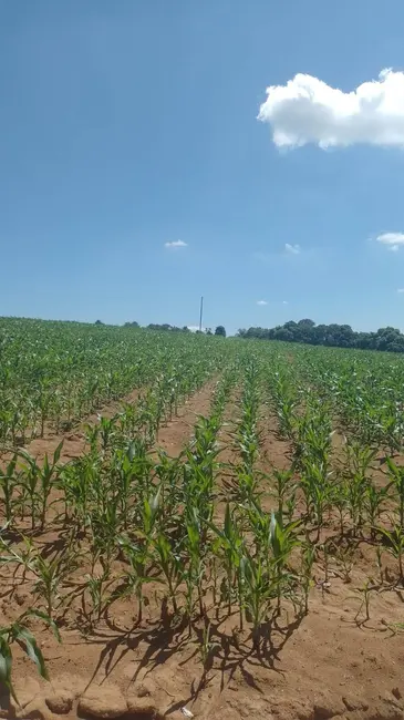 Foto 8 de Chácara com 1 quarto à venda, 217000m2 em Piedade - SP