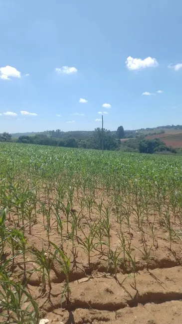 Foto 7 de Chácara com 1 quarto à venda, 217000m2 em Piedade - SP
