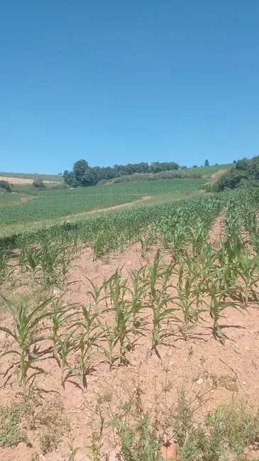 Foto 2 de Chácara com 1 quarto à venda, 217000m2 em Piedade - SP