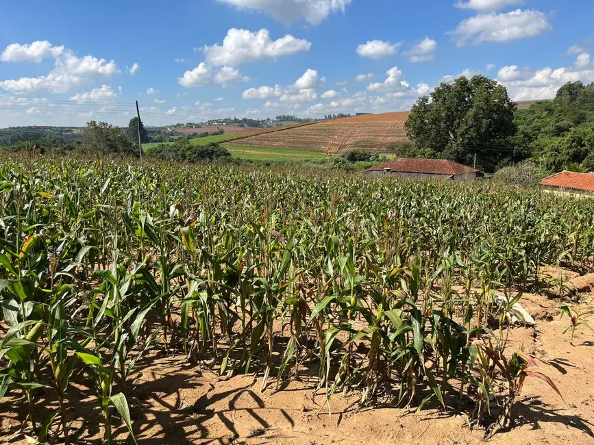 Foto 1 de Chácara com 1 quarto à venda, 217000m2 em Piedade - SP