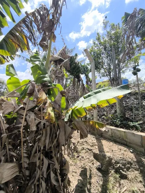 Foto 3 de Chácara à venda, 1000m2 em Piedade - SP