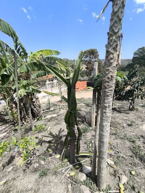 Foto 21 de Chácara à venda, 1000m2 em Piedade - SP