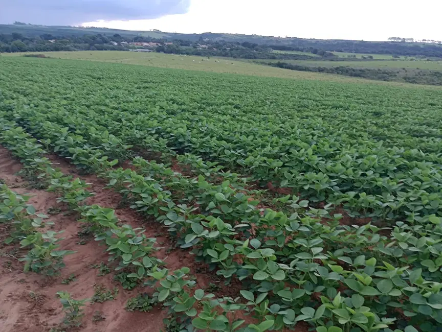 Foto 4 de Fazenda / Haras à venda, 2226400m2 em Aracoiaba Da Serra - SP