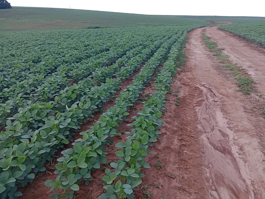 Foto 5 de Fazenda / Haras à venda, 2226400m2 em Aracoiaba Da Serra - SP