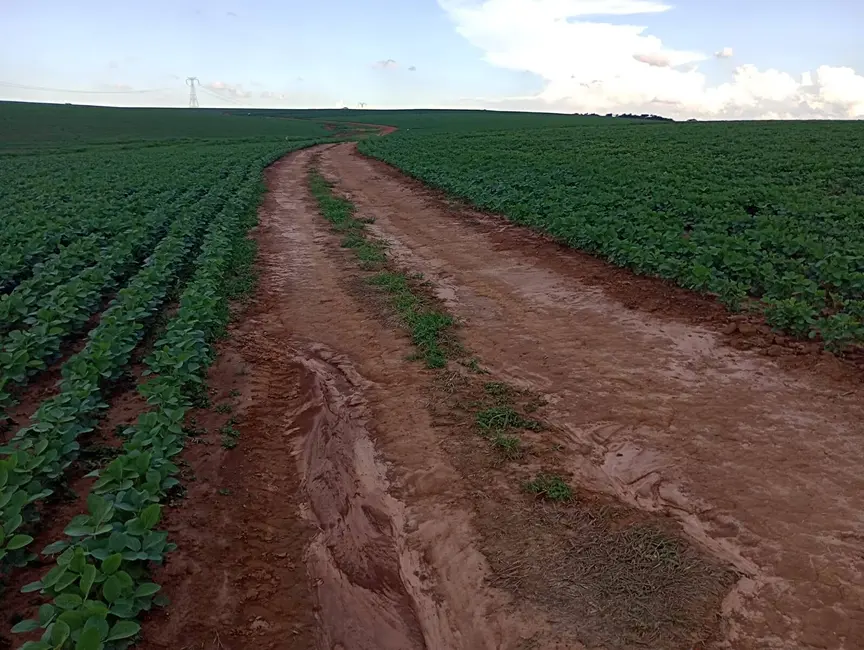 Foto 6 de Fazenda / Haras à venda, 2226400m2 em Aracoiaba Da Serra - SP