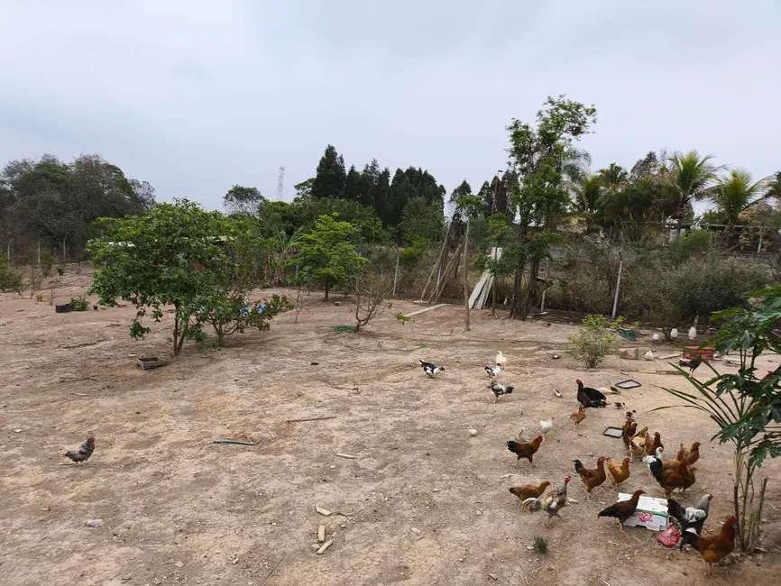 Chácara com 3 quartos à venda, 4400m2 em Sorocaba - SP - imagem 9 Foto 9 de Chácara com 3 quartos à venda, 4400m2 em Sorocaba - SP