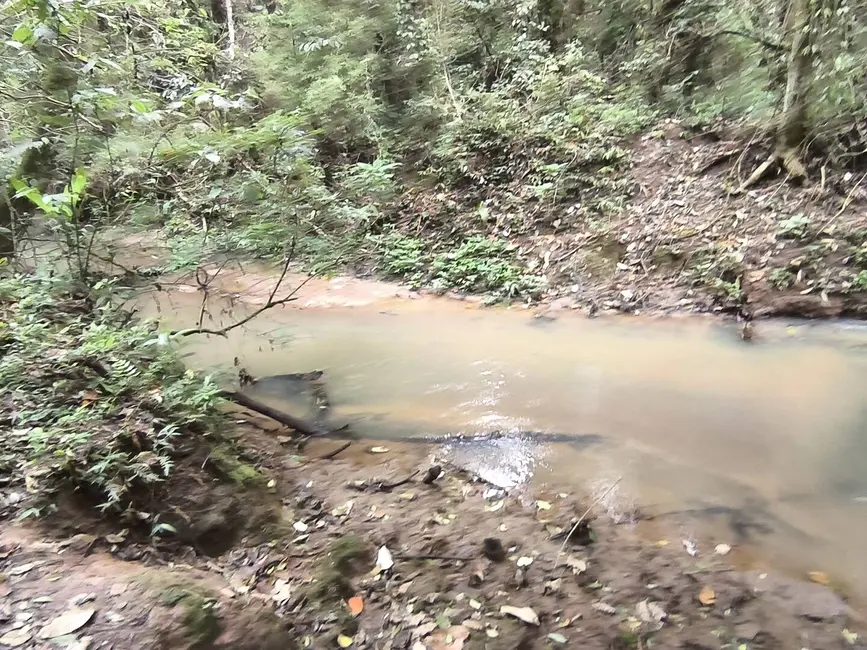 Chácara com 4 quartos à venda, 62920m2 em Pilar Do Sul - SP - imagem 6 Foto 6 de Chácara com 4 quartos à venda, 62920m2 em Pilar Do Sul - SP