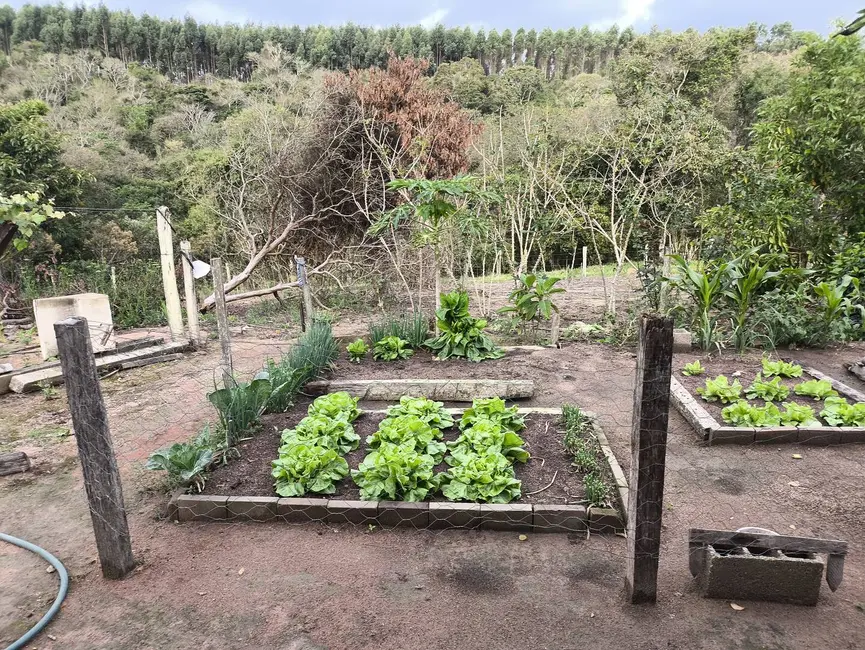 Chácara com 4 quartos à venda, 62920m2 em Pilar Do Sul - SP - imagem 7 Foto 7 de Chácara com 4 quartos à venda, 62920m2 em Pilar Do Sul - SP