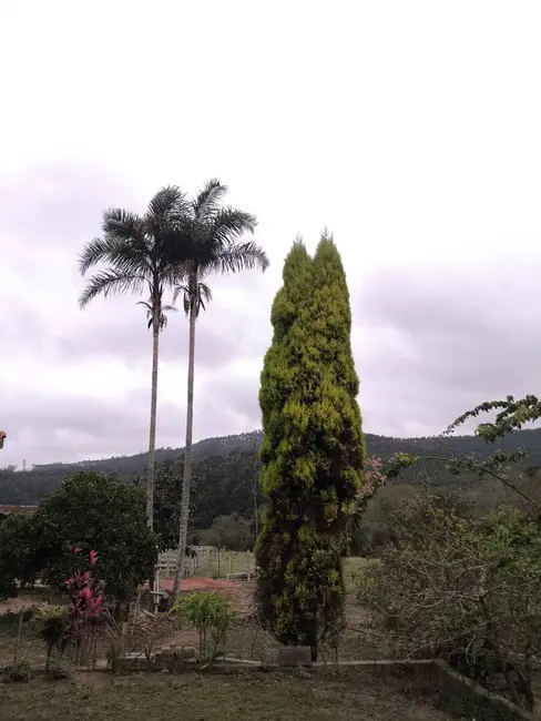 Chácara com 4 quartos à venda, 62920m2 em Pilar Do Sul - SP - imagem 3 Foto 3 de Chácara com 4 quartos à venda, 62920m2 em Pilar Do Sul - SP