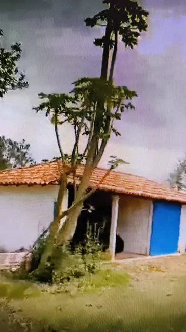 Foto 5 de Fazenda / Haras com 4 quartos à venda em Angatuba - SP