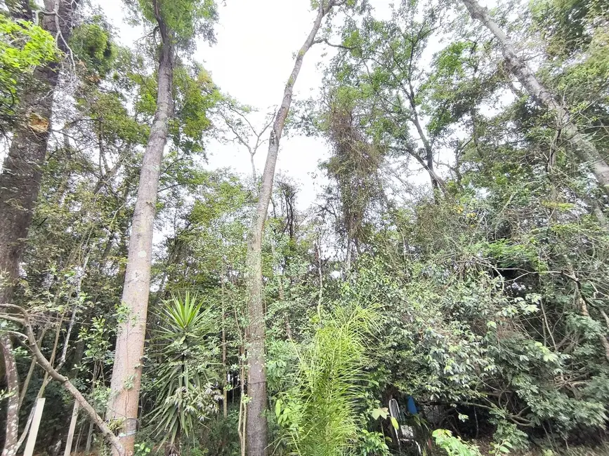 Foto 8 de Chácara com 1 quarto à venda, 1250m2 em Capela Do Alto - SP