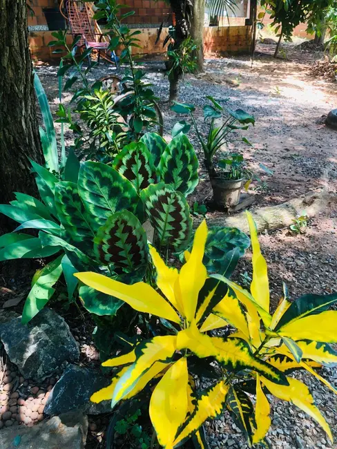 Foto 2 de Chácara com 1 quarto à venda, 1250m2 em Capela Do Alto - SP