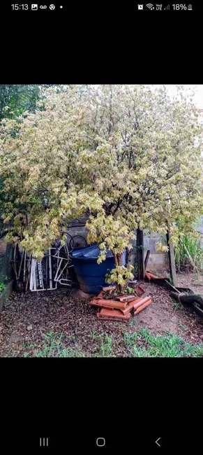 Foto 7 de Chácara com 2 quartos à venda, 650m2 em Aracoiaba Da Serra - SP