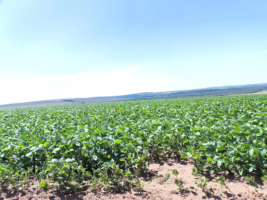 Foto 9 de Fazenda / Haras com 4 quartos à venda, 14193000m2 em Centro, Itabera - SP