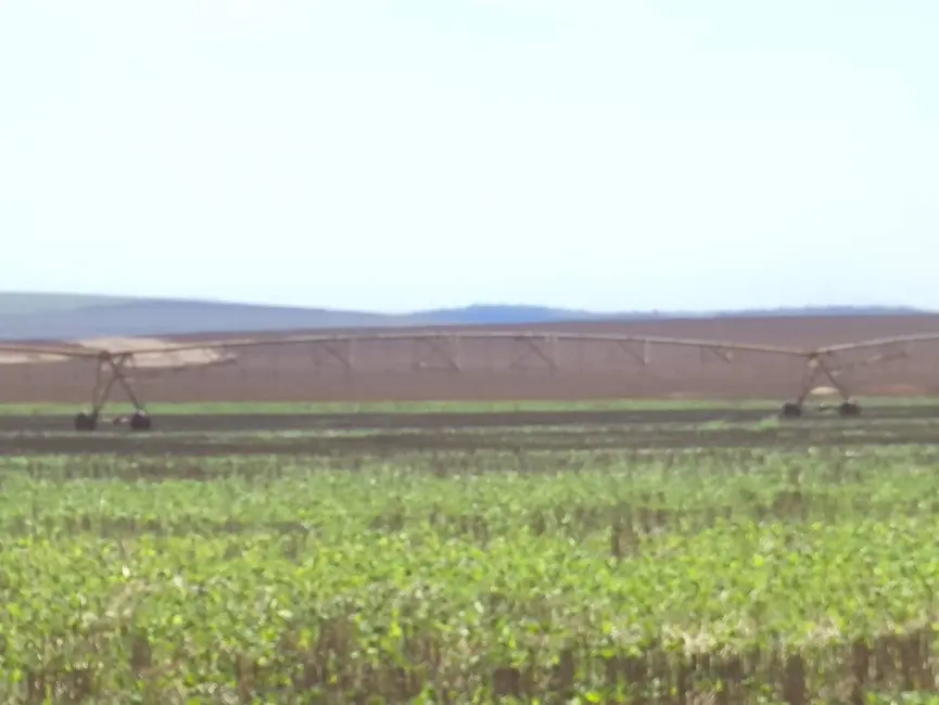 Foto 6 de Fazenda / Haras com 4 quartos à venda, 14193000m2 em Centro, Itabera - SP