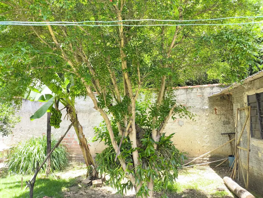 Foto 7 de Casa com 3 quartos à venda, 1000m2 em Alambari - SP