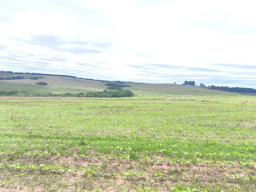 Foto 6 de Fazenda / Haras com 2 quartos à venda, 5913387m2 em Centro, Itaporanga - SP