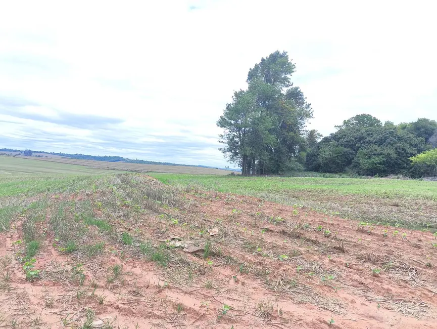 Foto 3 de Fazenda / Haras com 2 quartos à venda, 5913387m2 em Centro, Itaporanga - SP
