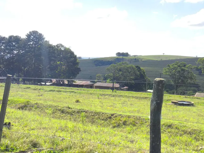 Foto 19 de Fazenda / Haras à venda em Riversul - SP