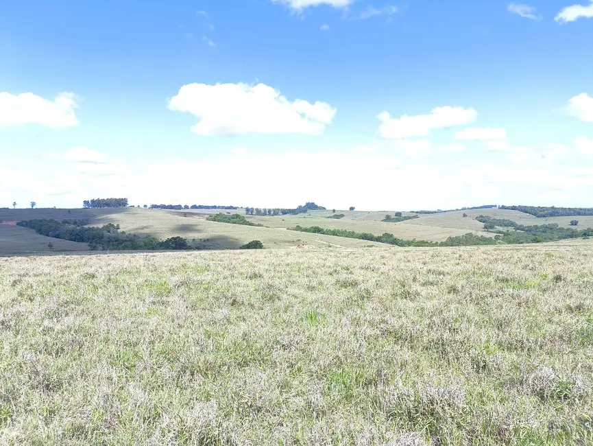 Foto 3 de Fazenda / Haras à venda em Riversul - SP