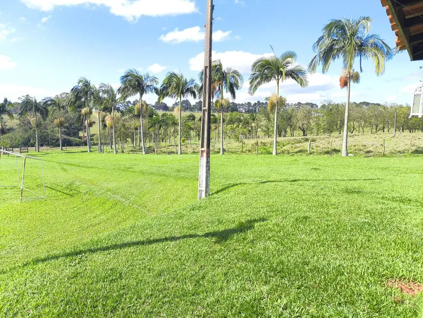 Foto 5 de Fazenda / Haras à venda em Riversul - SP