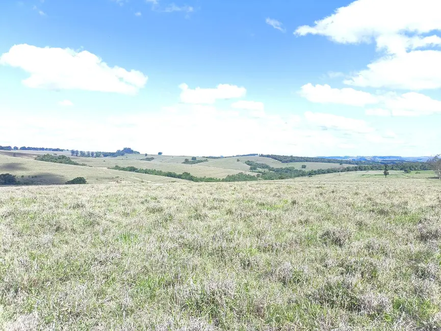 Foto 22 de Fazenda / Haras à venda em Riversul - SP