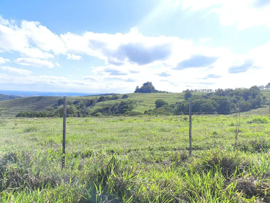 Foto 10 de Fazenda / Haras à venda em Riversul - SP