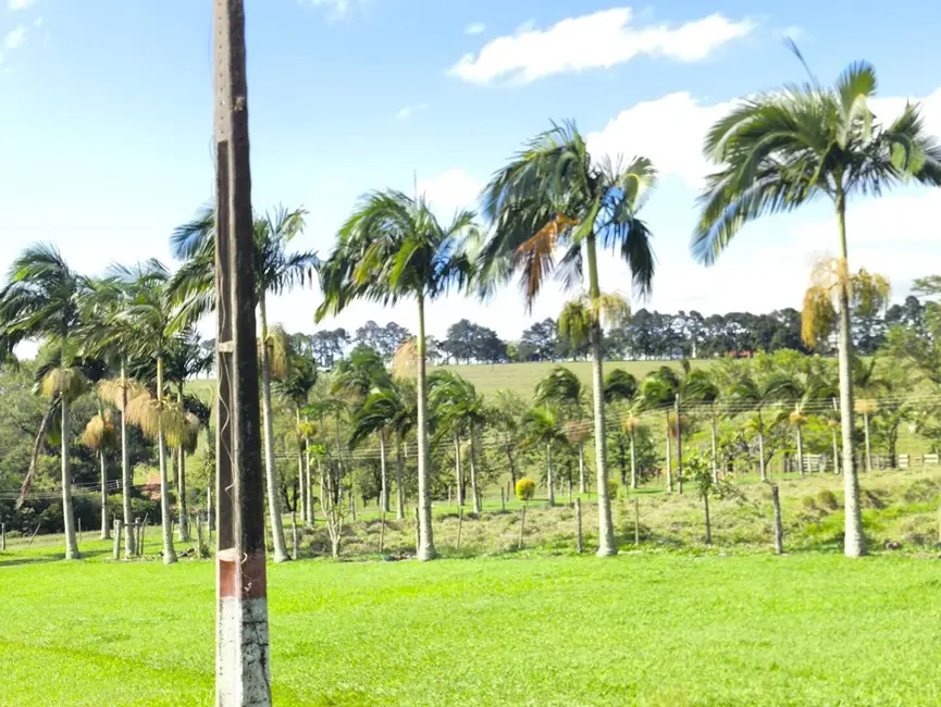 Foto 9 de Fazenda / Haras à venda em Riversul - SP