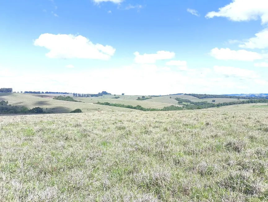 Foto 21 de Fazenda / Haras à venda em Riversul - SP