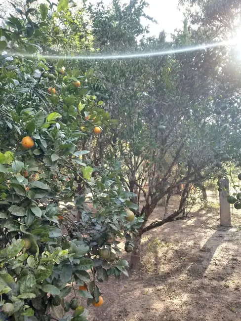 Foto 6 de Chácara com 3 quartos à venda, 5000m2 em Aracoiaba Da Serra - SP