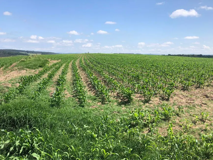Foto 9 de Fazenda / Haras com 3 quartos à venda, 1627865m2 em Alambari - SP
