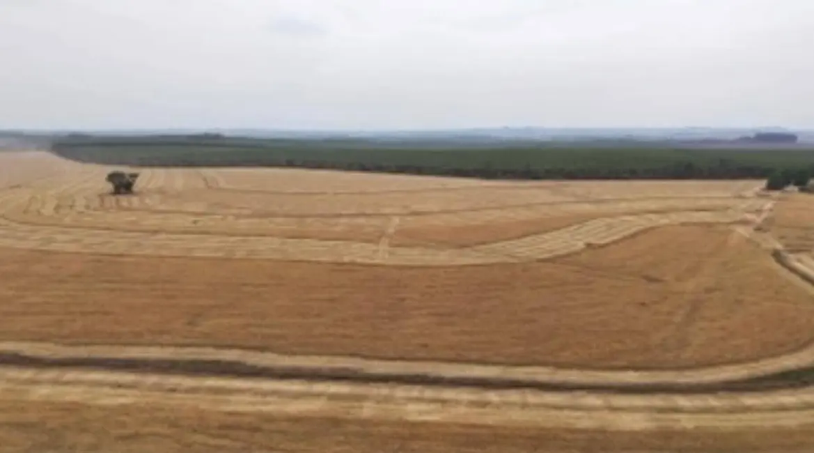 Foto 9 de Fazenda / Haras com 1 quarto à venda, 2904000m2 em Conceição, Itapetininga - SP