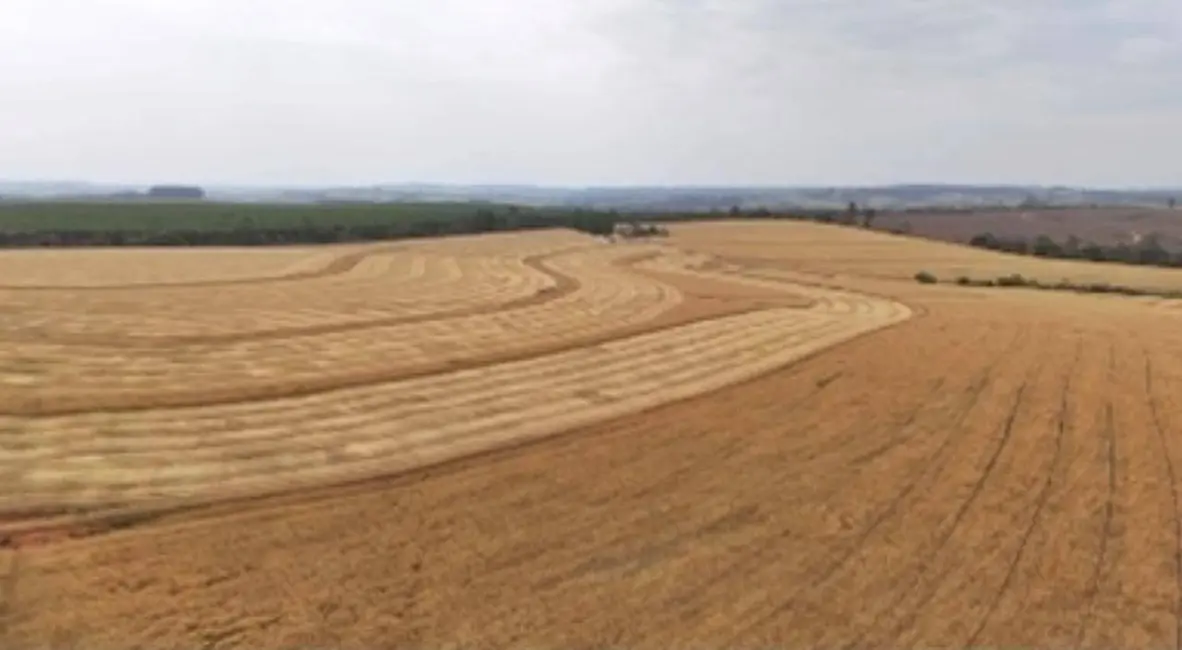 Foto 2 de Fazenda / Haras com 1 quarto à venda, 2904000m2 em Conceição, Itapetininga - SP