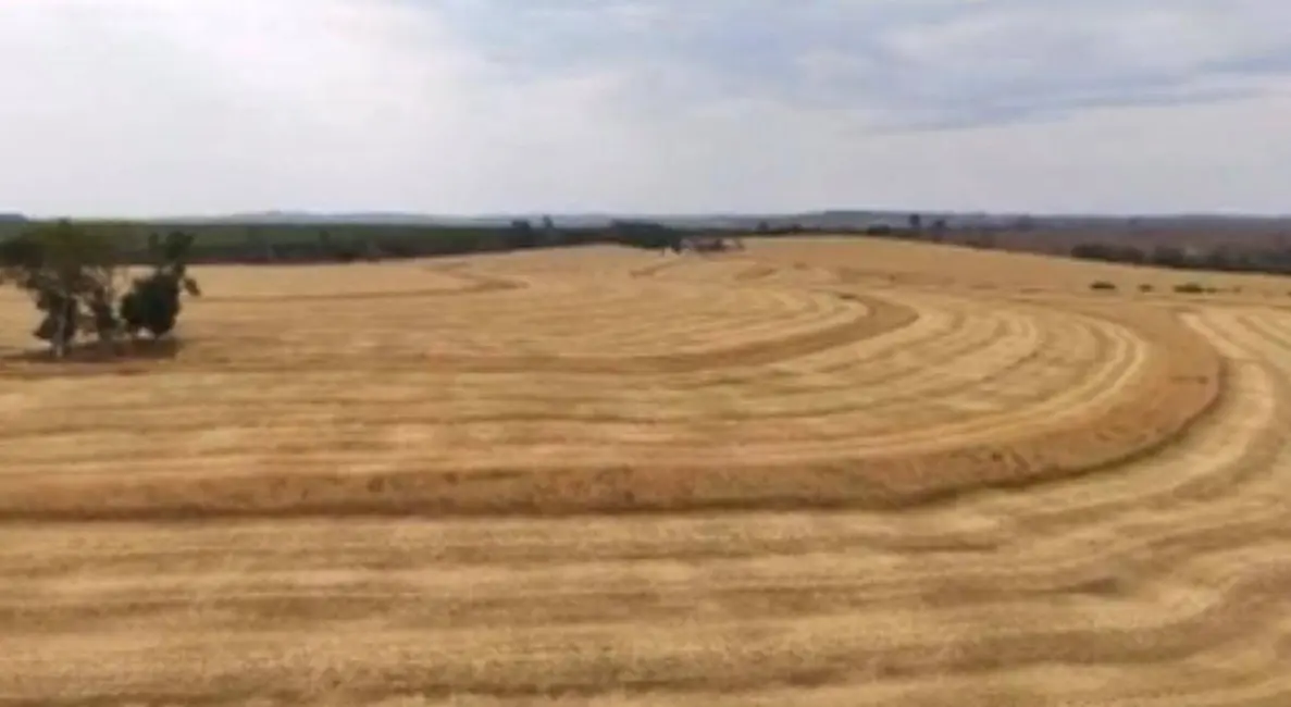 Foto 7 de Fazenda / Haras com 1 quarto à venda, 2904000m2 em Conceição, Itapetininga - SP