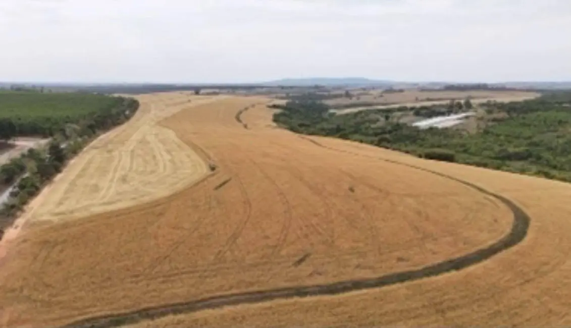 Foto 5 de Fazenda / Haras com 1 quarto à venda, 2904000m2 em Conceição, Itapetininga - SP