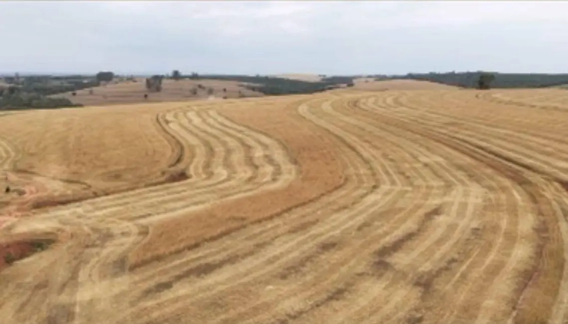 Foto 4 de Fazenda / Haras com 1 quarto à venda, 2904000m2 em Conceição, Itapetininga - SP