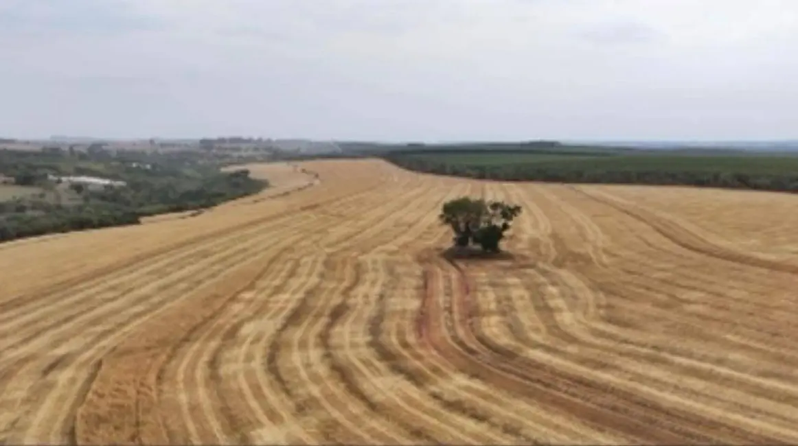 Foto 3 de Fazenda / Haras com 1 quarto à venda, 2904000m2 em Conceição, Itapetininga - SP