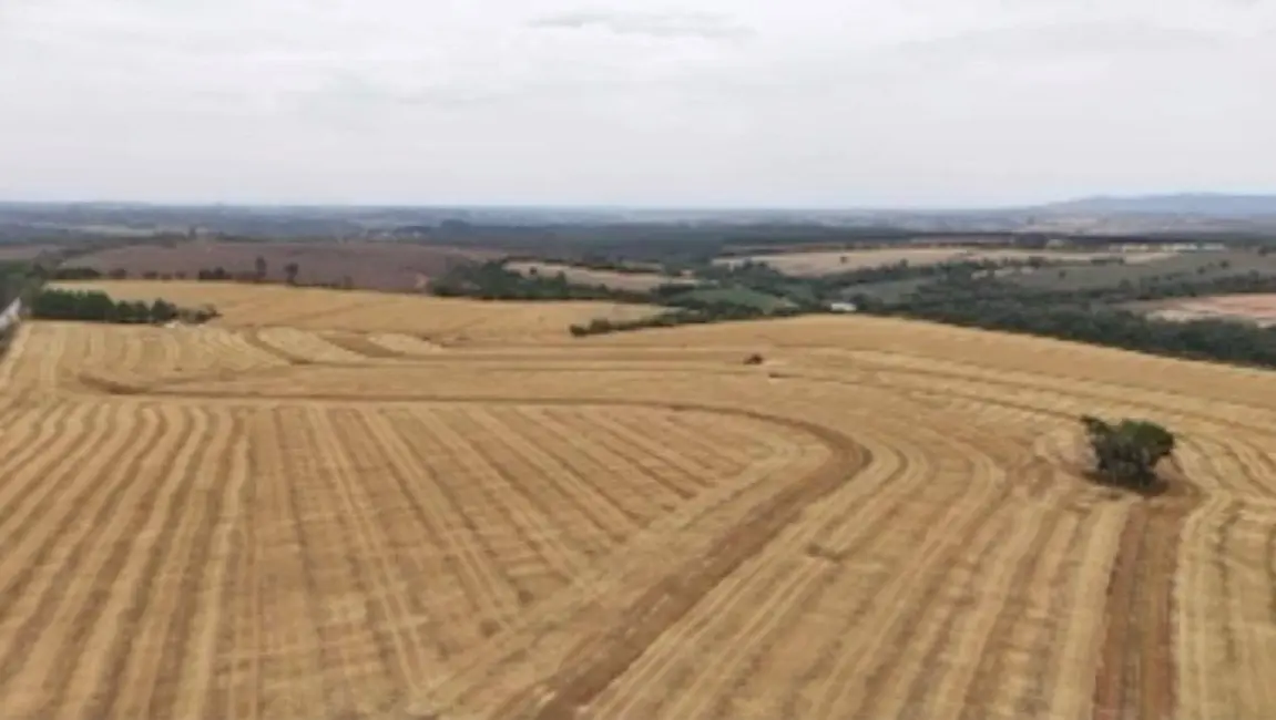 Foto 8 de Fazenda / Haras com 1 quarto à venda, 2904000m2 em Conceição, Itapetininga - SP