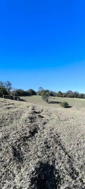 Foto 3 de Sítio / Rancho com 1 quarto à venda, 72600m2 em Angatuba - SP