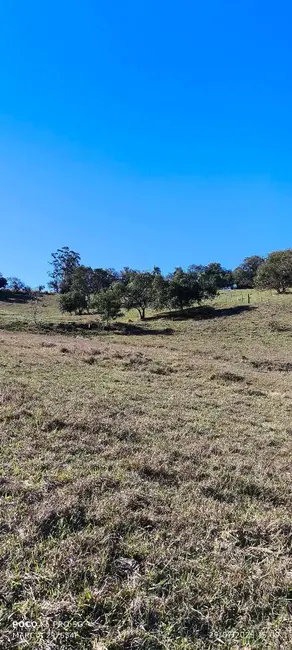 Foto 5 de Sítio / Rancho com 1 quarto à venda, 72600m2 em Angatuba - SP