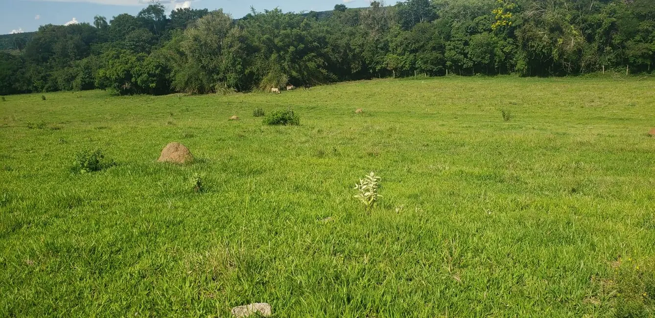 Foto 9 de Chácara com 2 quartos à venda, 65150m2 em Angatuba - SP