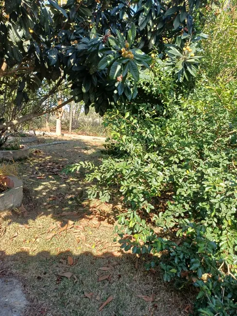 Foto 8 de Sítio / Rancho com 4 quartos à venda, 75600m2 em Centro, Itapetininga - SP