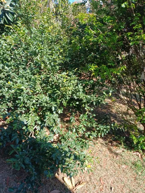 Foto 7 de Sítio / Rancho com 4 quartos à venda, 75600m2 em Centro, Itapetininga - SP