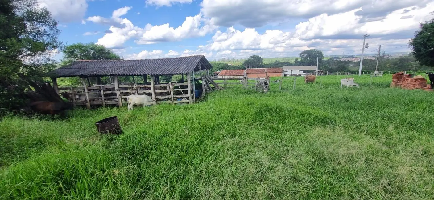 Foto 8 de Chácara com 2 quartos à venda, 164560m2 em Centro, Angatuba - SP
