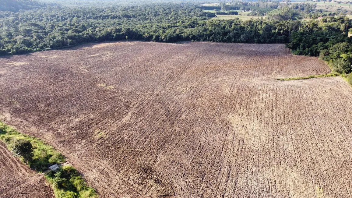 Foto 4 de Chácara com 4 quartos à venda, 263280m2 em Centro, Angatuba - SP